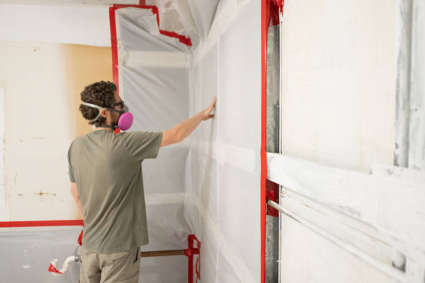 Best Emergency Mold Remediation  in Millbrook, NY
