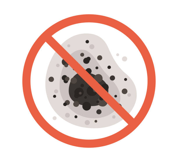 Best Air Quality Testing for Mold Spores  in Millbrook, NY