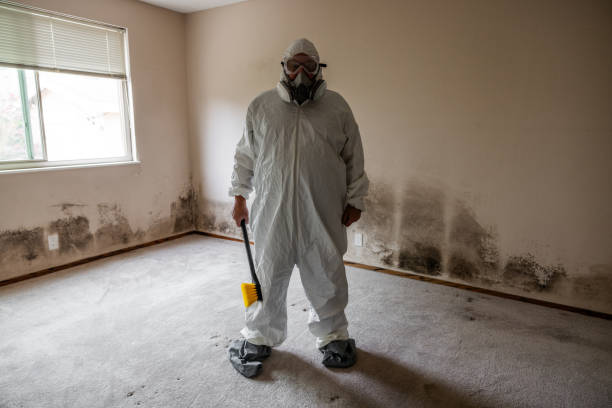 Best Post-Construction Mold Inspection  in Millbrook, NY
